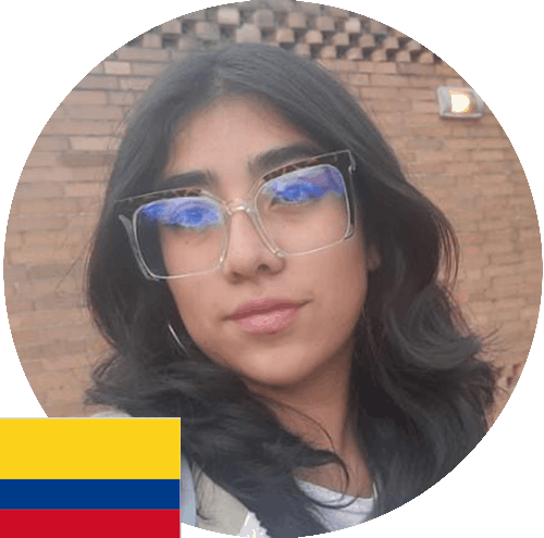 Descripción de la imagen