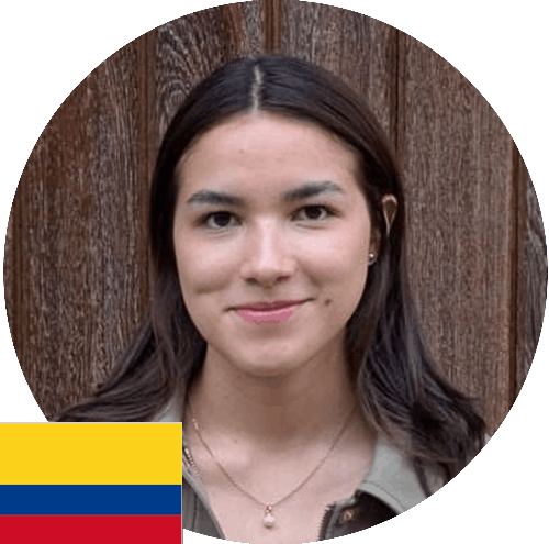 Descripción de la imagen