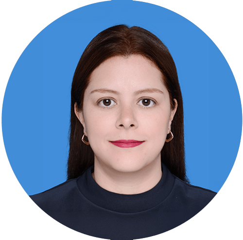 Descripción de la imagen