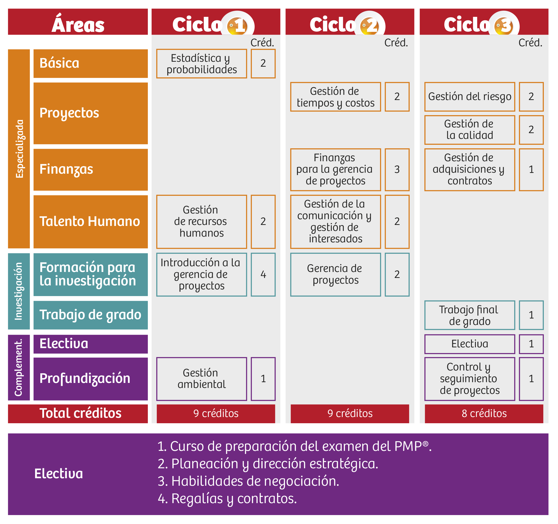 Especializacion En Gerencia De Proyectos Universidad Piloto De