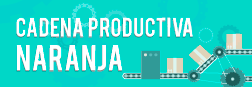 cadena-productiva-naranja