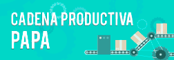 cadena-productiva-papa