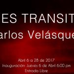 EXPOSICIÓN: PAISAJES TRANSITORIOS