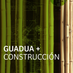 Taller: Guadua + Construcción