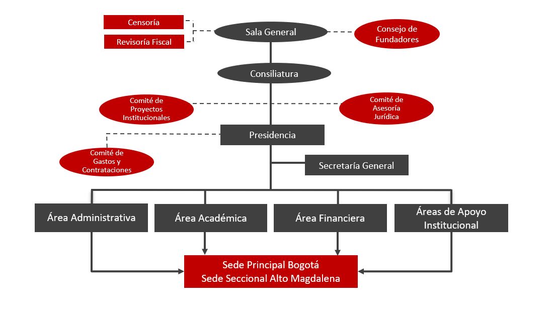 organigrama-general-upc-22