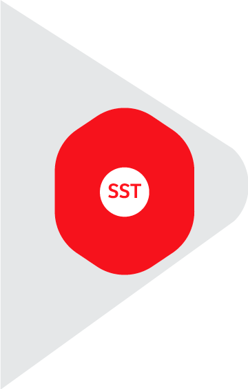 Cartilla Reinducción SG-SST