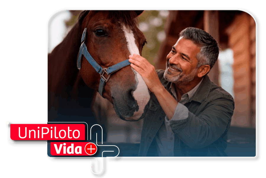 adultos-mindfull-caballos-min