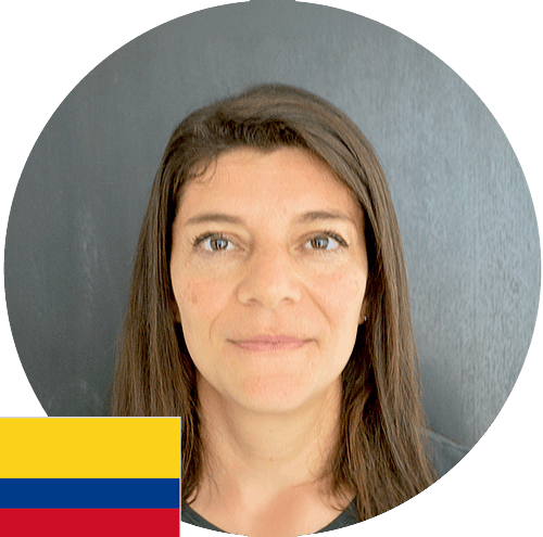 Descripción de la imagen