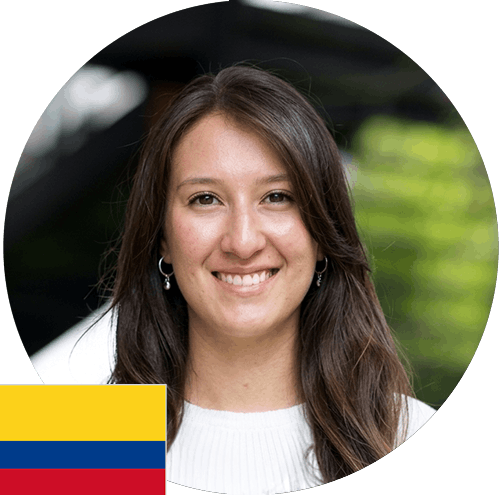 Descripción de la imagen