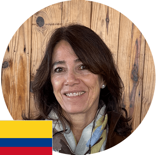 Descripción de la imagen