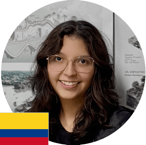 Descripción de la imagen