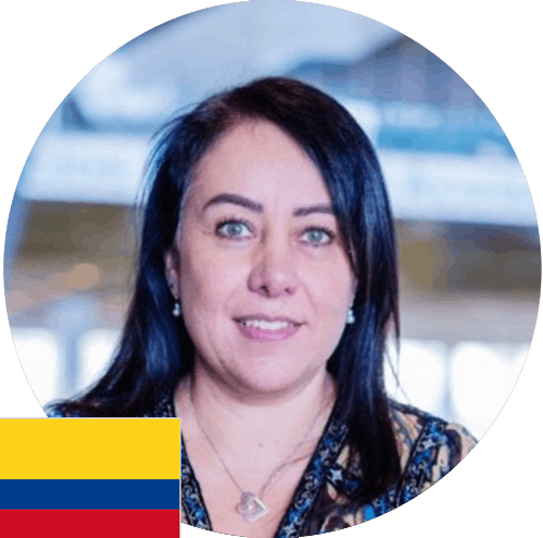 Descripción de la imagen