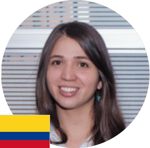 Descripción de la imagen