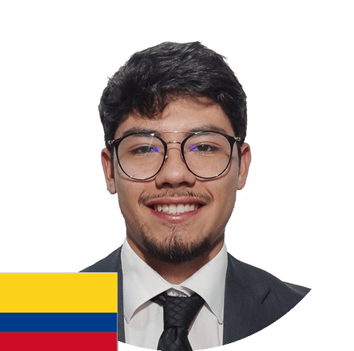 Descripción de la imagen