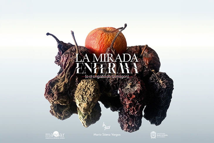 La Mirada Enferma (o el engaño de la imagen)