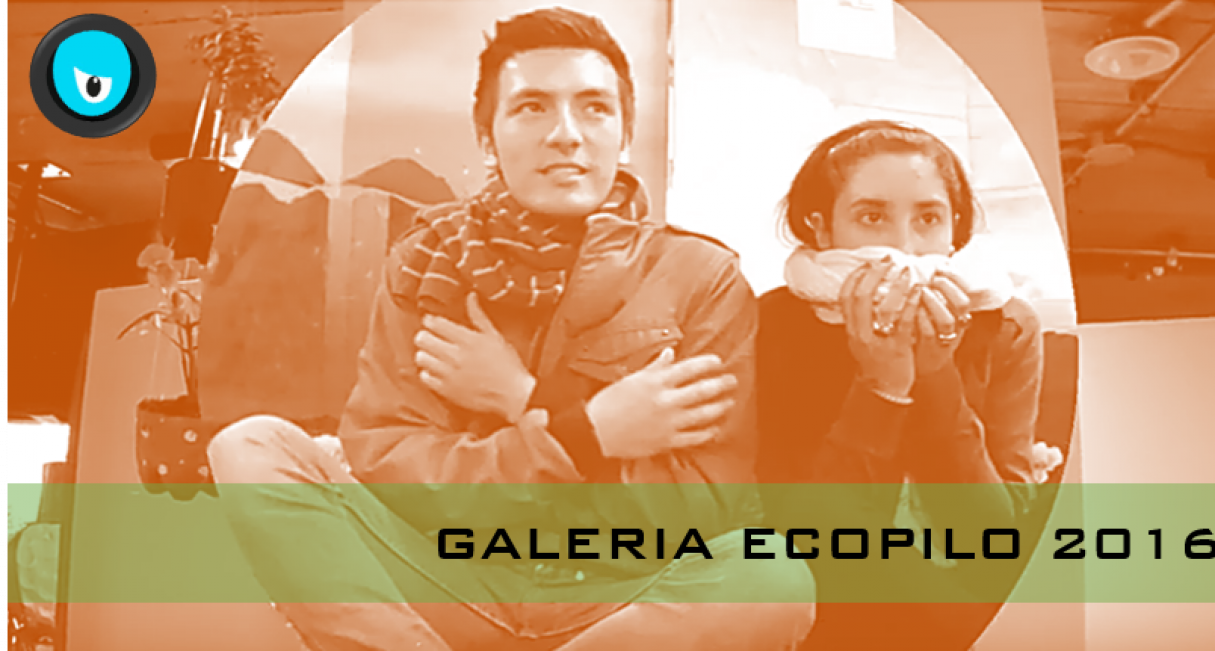 GALERIA ECOPILO 2016