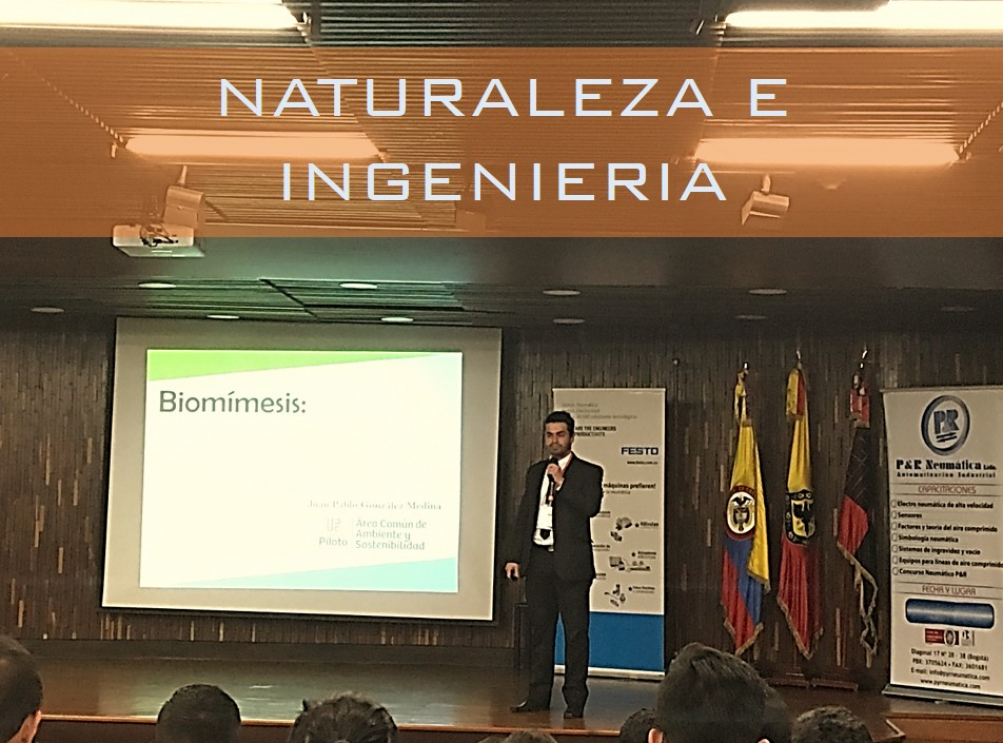 NATURALEZA E INGENIERIA